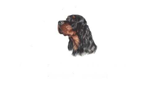 Logo Dalie